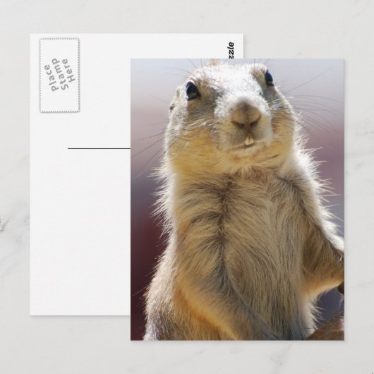 Product aanpassen briefkaart (Voorkant / Achterkant)