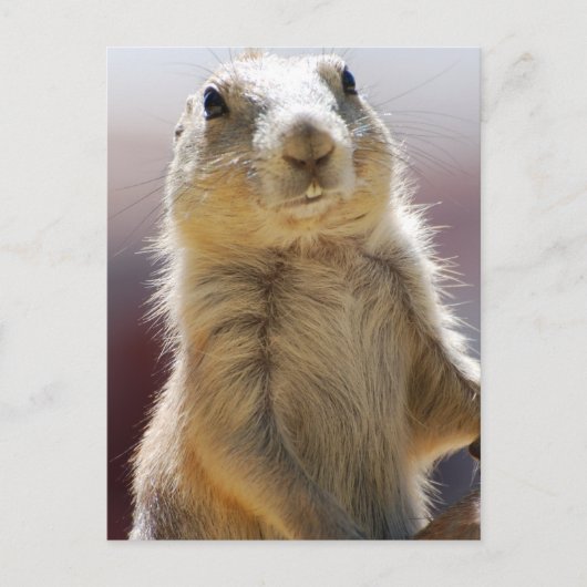 Product aanpassen briefkaart (Voorkant)