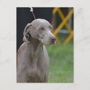 Product aanpassen briefkaart