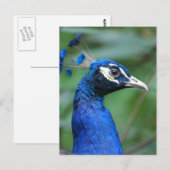 Product aanpassen briefkaart (Voorkant / Achterkant)