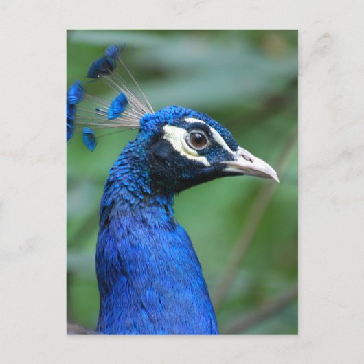 Product aanpassen briefkaart (Voorkant)