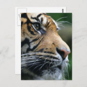 Product aanpassen briefkaart (Voorkant / Achterkant)