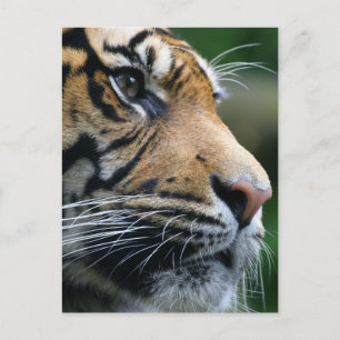 Product aanpassen briefkaart