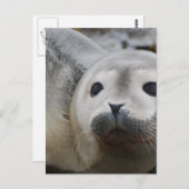 Product aanpassen briefkaart (Voorkant / Achterkant)