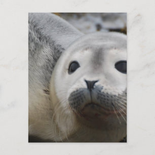 Product aanpassen briefkaart