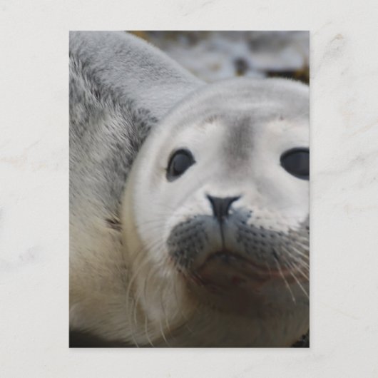 Product aanpassen briefkaart (Voorkant)