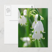 Product aanpassen briefkaart (Voorkant / Achterkant)