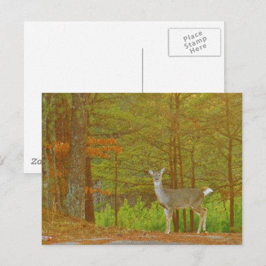 Product aanpassen briefkaart (Voorkant / Achterkant)