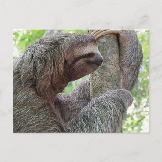 Product aanpassen briefkaart (Voorkant)