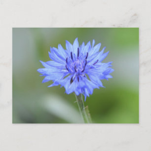 Product aanpassen briefkaart