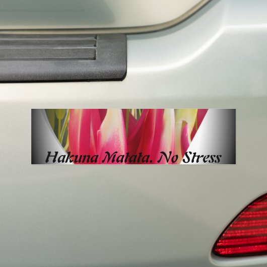 Product aanpassen bumpersticker (Op auto)