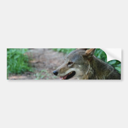 Product aanpassen bumpersticker (Voorkant)