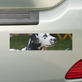 Product aanpassen bumpersticker (Op auto)