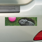 Product aanpassen bumpersticker (Op auto)