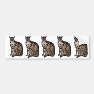 Product aanpassen bumpersticker