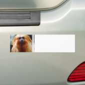 Product aanpassen bumpersticker (Op auto)