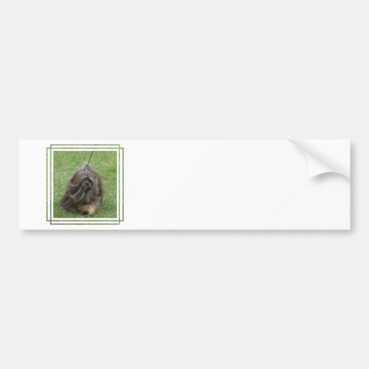 Product aanpassen bumpersticker (Voorkant)