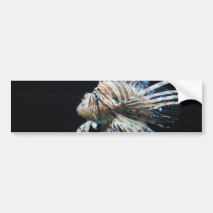 Product aanpassen bumpersticker
