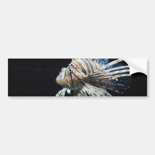 Product aanpassen bumpersticker (Voorkant)