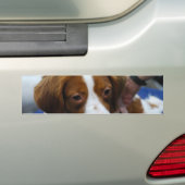 Product aanpassen bumpersticker (Op auto)
