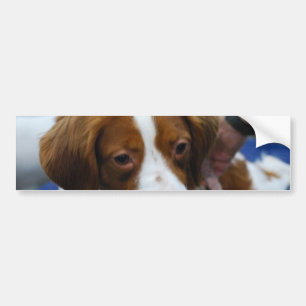 Product aanpassen bumpersticker