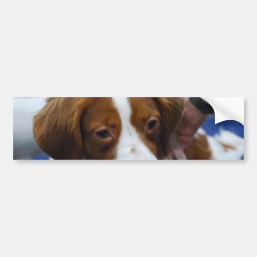 Product aanpassen bumpersticker (Voorkant)