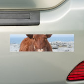 Product aanpassen bumpersticker (Op auto)