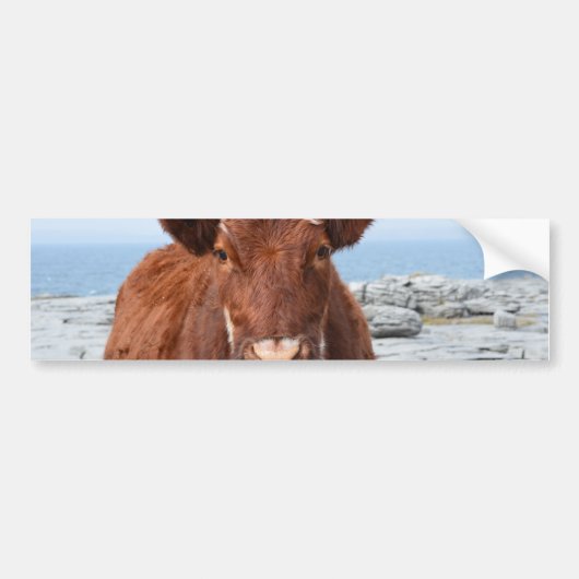 Product aanpassen bumpersticker (Voorkant)