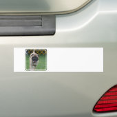 Product aanpassen bumpersticker (Op auto)