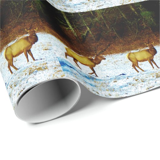 Product aanpassen cadeaupapier (Rol Hoek)