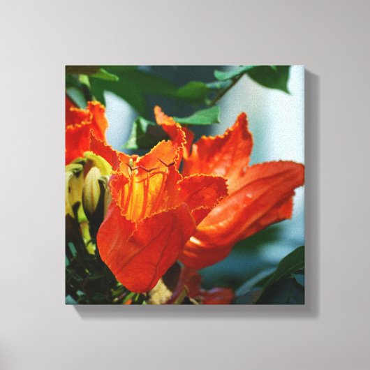 Product aanpassen canvas afdruk (Voorkant)