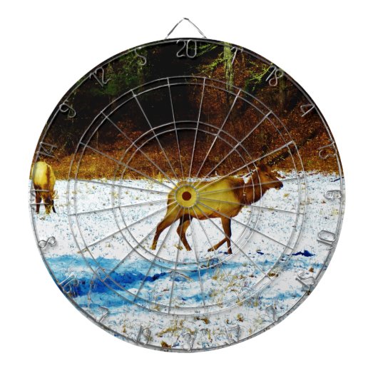 Product aanpassen dartbord (Voorkant)