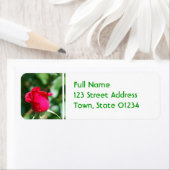 Product aanpassen etiket (Insitu)