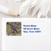 Product aanpassen etiket (Insitu)