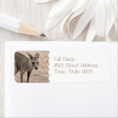 Product aanpassen etiket (Insitu)