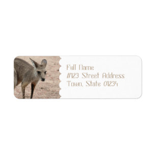 Product aanpassen etiket