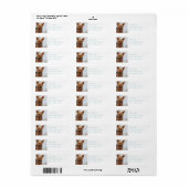 Product aanpassen etiket (Full Sheet)