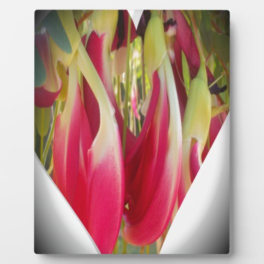 Product aanpassen fotoplaat (Voorkant)