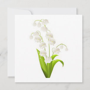 Product aanpassen - Gepersonaliseerd