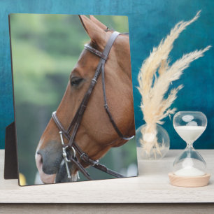 Product aanpassen - Gepersonaliseerd Fotoplaat