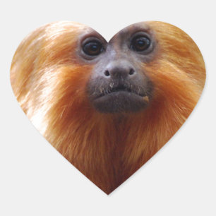 Product aanpassen hart sticker