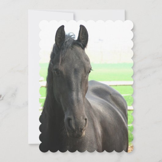 Product aanpassen kaart (Voorkant)