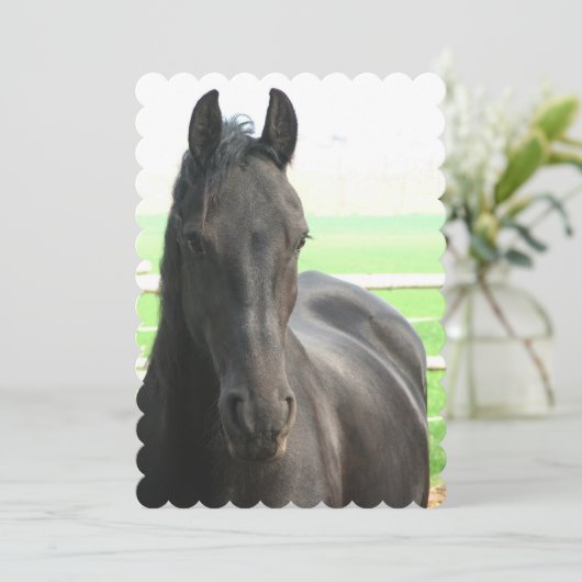 Product aanpassen kaart (Staand voorkant)