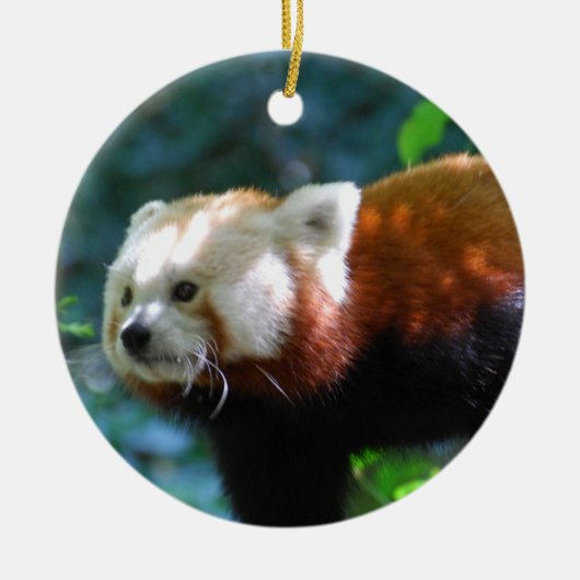 Product aanpassen keramisch ornament (Voorkant)