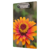 Product aanpassen klembord (Links)