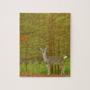 Product aanpassen legpuzzel