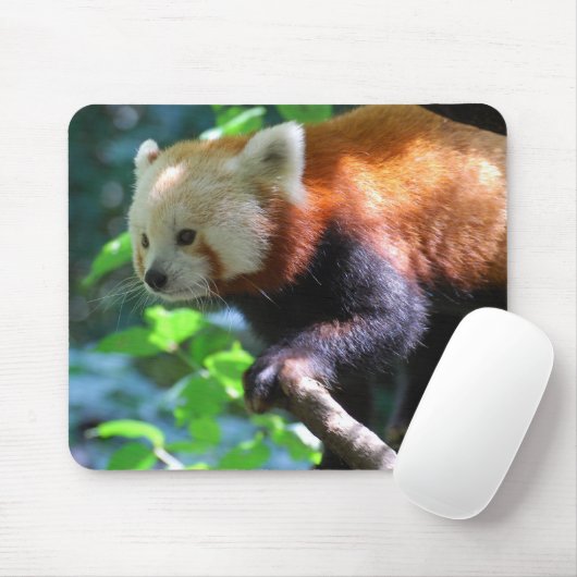 Product aanpassen muismat (Met muis)