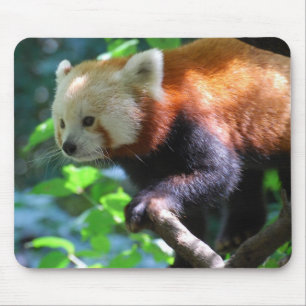 Product aanpassen muismat