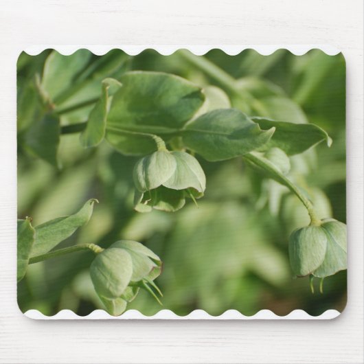 Product aanpassen muismat (Voorkant)