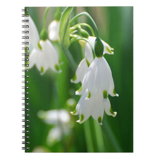 Product aanpassen notitieboek (Voorkant)